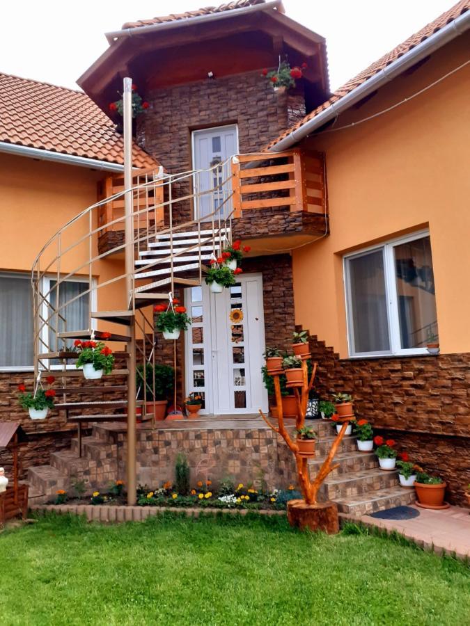 Casa De Oaspeti Cristian Praid Zimmer foto