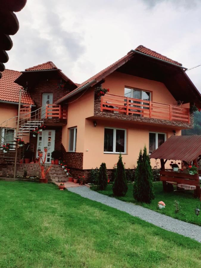 Casa De Oaspeti Cristian Praid Zimmer foto